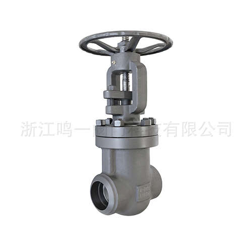 Large Diameter Forged Steel Gate Valve-Z61Y-800LB-4