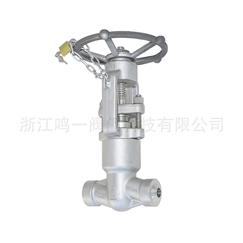 High temperature and high pressure self-sealing stop valve -PJ61Y-3000LB-1 "-F316H-03