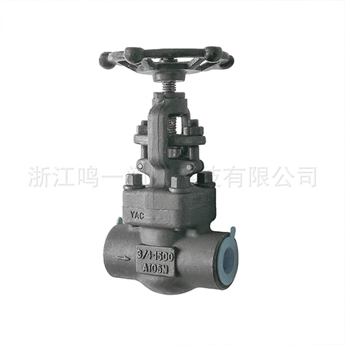 Forged high pressure globe valve with threaded connection